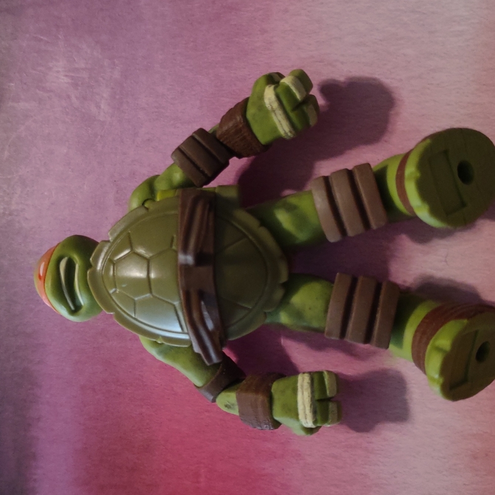 Ninja Mutant turtle